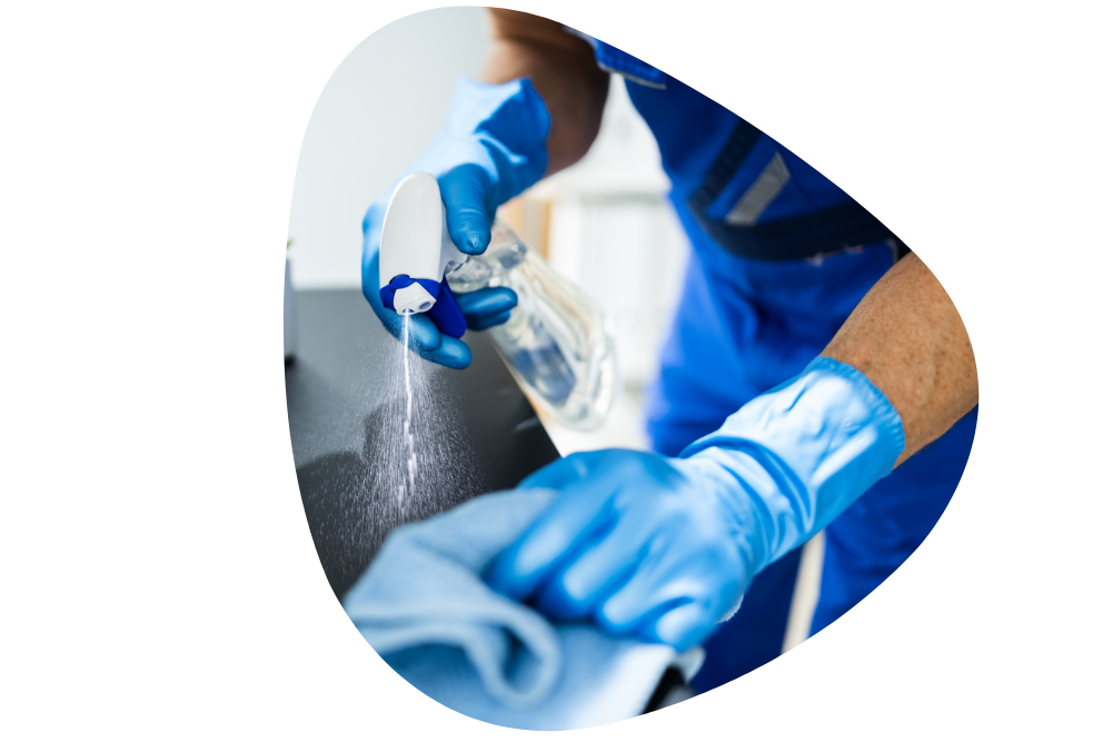 Hotel Cleaning Techniques Used by House Cleaning Brussels