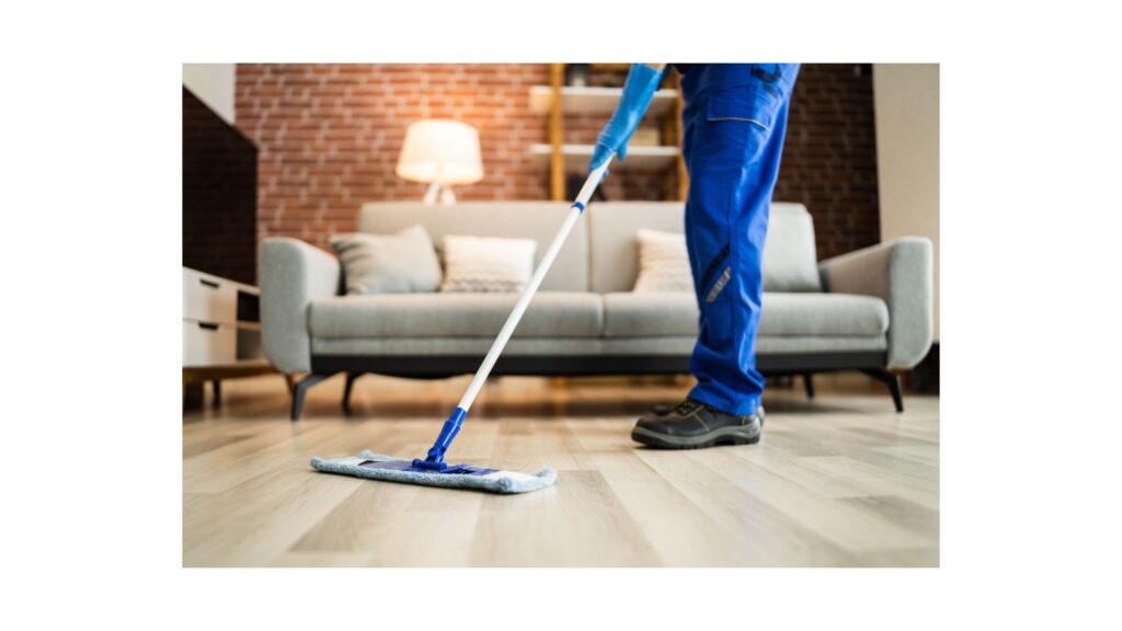 Clean Home for Health Reducing Allergens and Germs