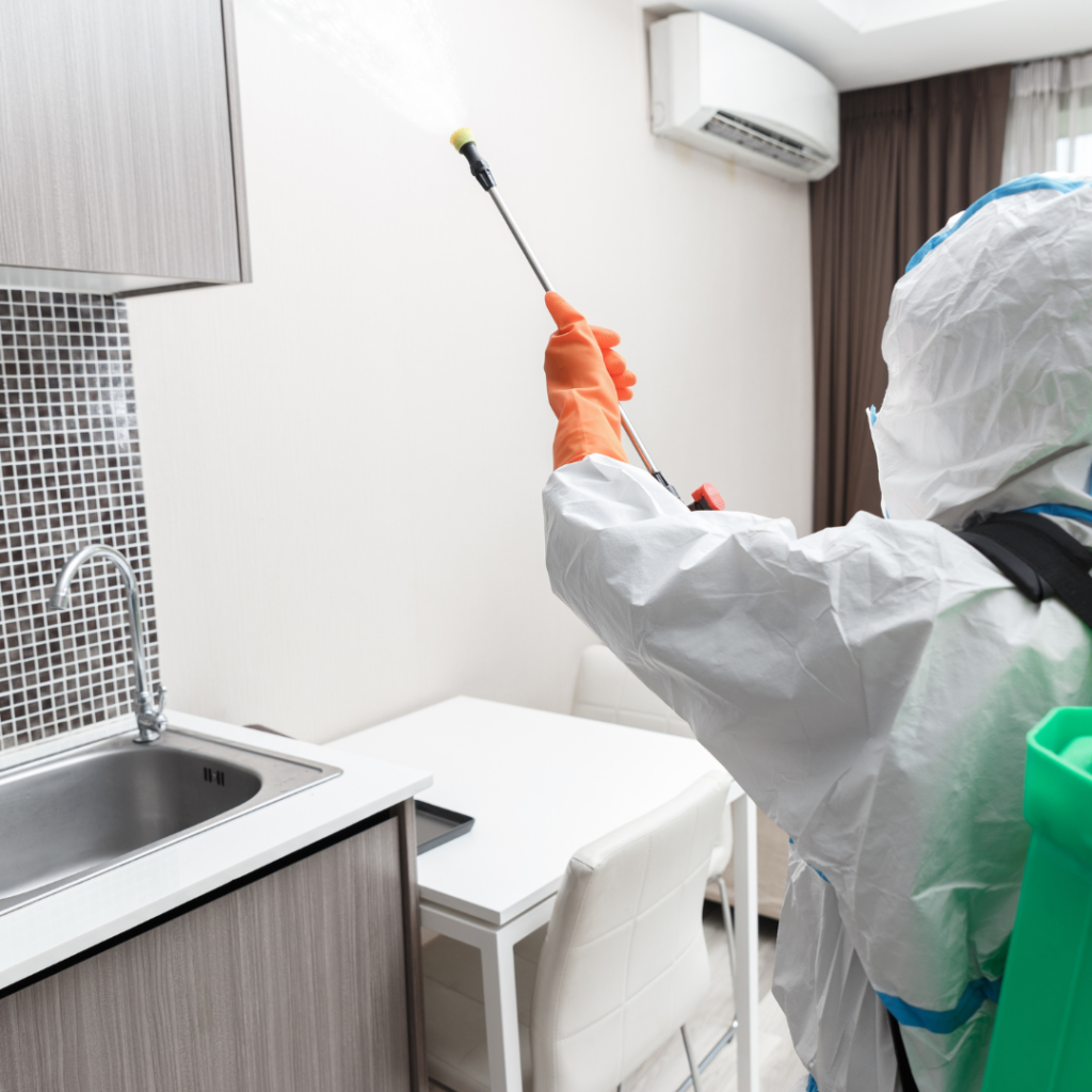 Professional House Cleaning Brussels